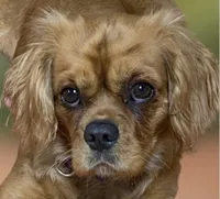 processed/75fa2f88-30c6-4cae-a0d3-b4699e4d73d9/facility/627309cc-6e15-449b-a2c8-3a1bd609e9f6