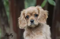 processed/75fa2f88-30c6-4cae-a0d3-b4699e4d73d9/facility/6c5815df-7dc5-4fb3-87ce-9bf0df620c59