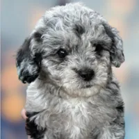 processed/75fa2f88-30c6-4cae-a0d3-b4699e4d73d9/facility/774c7852-2a54-4055-962e-1340aff7cff6