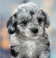 processed/75fa2f88-30c6-4cae-a0d3-b4699e4d73d9/facility/774c7852-2a54-4055-962e-1340aff7cff6