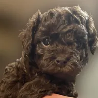 processed/75fa2f88-30c6-4cae-a0d3-b4699e4d73d9/facility/78ceef45-57e0-4d11-9e0b-9992996595e7