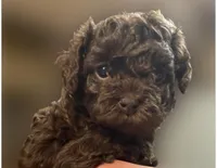 processed/75fa2f88-30c6-4cae-a0d3-b4699e4d73d9/facility/78ceef45-57e0-4d11-9e0b-9992996595e7