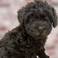 processed/75fa2f88-30c6-4cae-a0d3-b4699e4d73d9/facility/cd3a16ac-8513-4984-9cb3-f3e5e30b4c8b