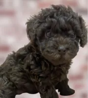 processed/75fa2f88-30c6-4cae-a0d3-b4699e4d73d9/facility/cd3a16ac-8513-4984-9cb3-f3e5e30b4c8b