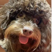 processed/75fa2f88-30c6-4cae-a0d3-b4699e4d73d9/facility/cd8c79aa-811a-4099-aa74-151a02fa9249