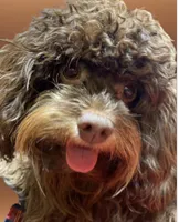 processed/75fa2f88-30c6-4cae-a0d3-b4699e4d73d9/facility/cd8c79aa-811a-4099-aa74-151a02fa9249