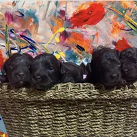 processed/75fa2f88-30c6-4cae-a0d3-b4699e4d73d9/facility/e42a63b2-4408-4081-b223-4107302becaf