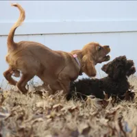 processed/75fa2f88-30c6-4cae-a0d3-b4699e4d73d9/facility/f9bed089-5390-45ba-ab5e-52e60397b69f