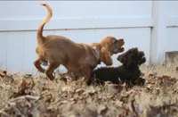 processed/75fa2f88-30c6-4cae-a0d3-b4699e4d73d9/facility/f9bed089-5390-45ba-ab5e-52e60397b69f