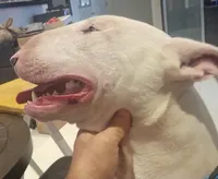 processed/760f2164-077b-47e3-af70-97d43a827050/facility/2e7fd5b9-7193-4083-bef0-d5bd7ff5813f