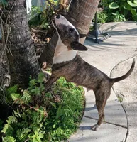 processed/760f2164-077b-47e3-af70-97d43a827050/facility/73d91ffe-5e6b-4216-b1f3-7ef45892e183