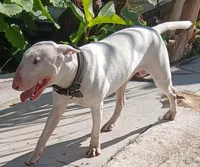 processed/760f2164-077b-47e3-af70-97d43a827050/facility/f54bd9bc-f4a8-4eaa-8702-6a35b1f8cdcd