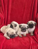 processed/761752f5-8bae-4c87-89db-61ea8a65202d/listing/e592efa4-00ac-4dfa-a8d3-6fe9a80d1b24/d8f4293a-dc56-47ef-88de-e1ff7b70026f