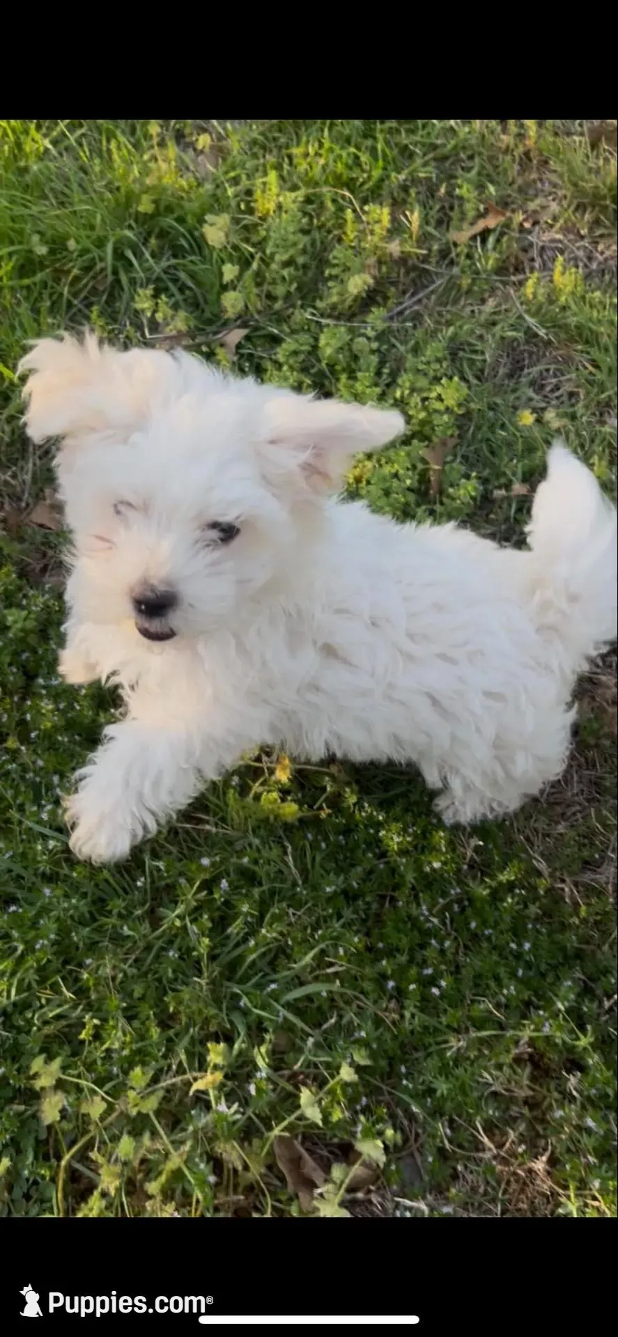 processed/761e059a-42a4-47e6-a43c-5e0322159451/facility/10080a8a-a89b-465e-8996-12d44ea6d372