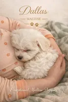 processed/761e059a-42a4-47e6-a43c-5e0322159451/facility/70be2ff6-a7d2-4f96-b0d1-401e01f66942