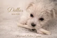 processed/761e059a-42a4-47e6-a43c-5e0322159451/facility/758d3aa4-0ee0-4e2b-9ff3-62cb6f513156