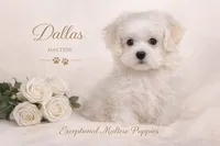 processed/761e059a-42a4-47e6-a43c-5e0322159451/facility/798fd081-407b-447b-bf52-c71dfc9c272a