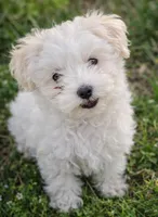 processed/761e059a-42a4-47e6-a43c-5e0322159451/facility/d8273f00-a3a0-4a01-8000-1253c1021531