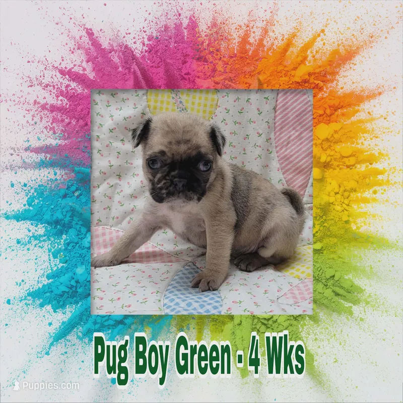 Boy Green
