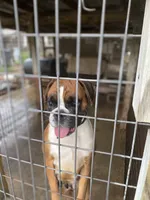 processed/762c8c21-e8c5-4aeb-b36c-2dfff163455b/facility/0e3268fc-be4c-4221-908a-482ac07be0ed