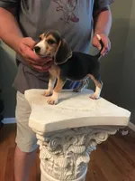 processed/762c8c21-e8c5-4aeb-b36c-2dfff163455b/facility/3560d58d-ff17-40da-bb94-1f2e1ae9b8ac