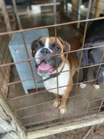 processed/762c8c21-e8c5-4aeb-b36c-2dfff163455b/facility/75d4a79b-7df2-47bb-9158-a82416440ad2