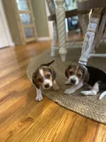 processed/762c8c21-e8c5-4aeb-b36c-2dfff163455b/facility/9e27bc7a-6681-4fd1-a736-99db223718f9