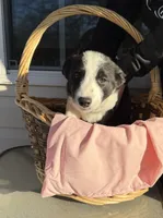 processed/762c8c21-e8c5-4aeb-b36c-2dfff163455b/listing/561f1625-a41f-434e-80f0-d8ff931f026a/0f6fa4b3-b7c6-4161-9463-343acbf70b43