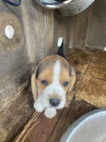 processed/762c8c21-e8c5-4aeb-b36c-2dfff163455b/listing/fcf422e2-cfc7-4a49-9b72-69d33ca4608a/02c0fbed-0acf-4322-a866-8f8b5371f1c8