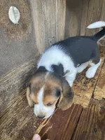 processed/762c8c21-e8c5-4aeb-b36c-2dfff163455b/listing/fcf422e2-cfc7-4a49-9b72-69d33ca4608a/be432a08-f2fd-4c05-bedc-aeba24f106a5