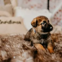 processed/763ef849-11ad-4c94-8efa-fe0daeb1624c/facility/3cabcd0c-9ed1-46f7-a0dd-75df96f609d1