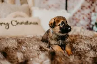 processed/763ef849-11ad-4c94-8efa-fe0daeb1624c/facility/3cabcd0c-9ed1-46f7-a0dd-75df96f609d1