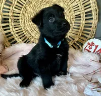 processed/763ef849-11ad-4c94-8efa-fe0daeb1624c/listing/0063e4f3-6416-4349-b9e2-717514009c51/155feddf-234d-479a-bc91-60631644147b