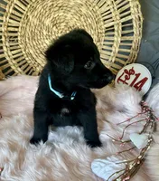 processed/763ef849-11ad-4c94-8efa-fe0daeb1624c/listing/0063e4f3-6416-4349-b9e2-717514009c51/405cd80c-aa19-4ca8-802d-ccebf2e92328