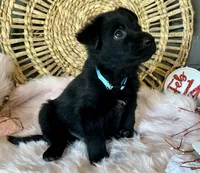 processed/763ef849-11ad-4c94-8efa-fe0daeb1624c/listing/0063e4f3-6416-4349-b9e2-717514009c51/71c6b107-917c-497a-89d7-e26e58741aca