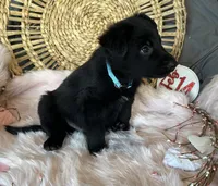 processed/763ef849-11ad-4c94-8efa-fe0daeb1624c/listing/0063e4f3-6416-4349-b9e2-717514009c51/8d78367a-8fc4-4ad0-89cb-52791c94c297