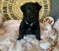 processed/763ef849-11ad-4c94-8efa-fe0daeb1624c/listing/0063e4f3-6416-4349-b9e2-717514009c51/da98027b-924a-41c8-bce5-147297c7d6aa