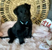 processed/763ef849-11ad-4c94-8efa-fe0daeb1624c/listing/0063e4f3-6416-4349-b9e2-717514009c51/df5bba7d-896f-4d73-bcbd-8bde33ab9848