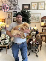 Due October tenth, a  Chow Chow for sale in Panama City, FL – 4 of 10