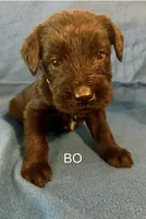 processed/7652d3f8-fa38-4099-b1c6-a367f726d3e8/listing/1ad00442-8264-43d0-9f36-fefd4fc54664/3707b6d7-e025-462d-ae76-796152a65255