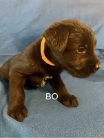 processed/7652d3f8-fa38-4099-b1c6-a367f726d3e8/listing/1ad00442-8264-43d0-9f36-fefd4fc54664/4e17f2b6-db14-415b-b0c5-4e3f67bf7e61