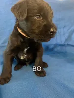 processed/7652d3f8-fa38-4099-b1c6-a367f726d3e8/listing/1ad00442-8264-43d0-9f36-fefd4fc54664/877ac45d-b30a-4e02-a766-9e5087e8d466