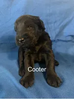 processed/7652d3f8-fa38-4099-b1c6-a367f726d3e8/listing/2ea752c8-6244-4517-8324-8a83fd1cc6fb/cfd3ad6b-57c4-4775-a1b0-7f4da1350e49