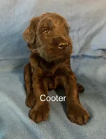 processed/7652d3f8-fa38-4099-b1c6-a367f726d3e8/listing/2ea752c8-6244-4517-8324-8a83fd1cc6fb/fa44ef42-d664-4be8-be5f-5d3218c39470