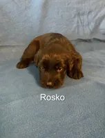 processed/7652d3f8-fa38-4099-b1c6-a367f726d3e8/listing/7da2b80d-6d5f-4dfd-b695-b9ff66d60a69/76acad80-4724-4c4d-892b-815fbdf9e317