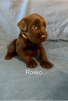 processed/7652d3f8-fa38-4099-b1c6-a367f726d3e8/listing/7da2b80d-6d5f-4dfd-b695-b9ff66d60a69/be5d9df3-8c8c-4702-a31b-5f6f0f430b23