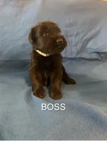 processed/7652d3f8-fa38-4099-b1c6-a367f726d3e8/listing/986f5f27-77cd-438b-845b-5a7626fcd8f0/b6c47752-5b37-4ed0-ba39-df1a0f3fb186