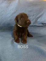 processed/7652d3f8-fa38-4099-b1c6-a367f726d3e8/listing/986f5f27-77cd-438b-845b-5a7626fcd8f0/c85cfbaf-ce8e-46b1-8113-3105ddbe8b98