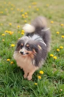 processed/76535d69-5950-4b60-8075-b38e83aecdf7/listing/86b8d800-d0b5-42a8-977b-c1783bb1afe3/0b182623-4435-443c-a4f2-1fc88454258c