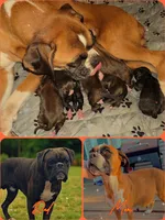 processed/76535d69-5950-4b60-8075-b38e83aecdf7/listing/b1626b9a-a59f-490e-83f6-0fa49ba3868a/0074c6ed-b788-4faf-84fa-e2d8497a4f41